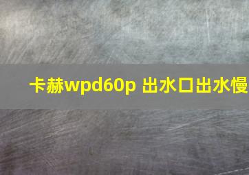 卡赫wpd60p 出水口出水慢